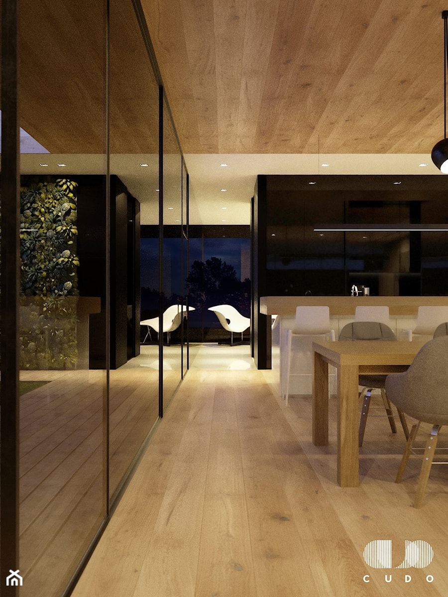 Projekt wnętrz domu - Kuchnia, styl minimalistyczny - zdjęcie od CUDO STUDIO