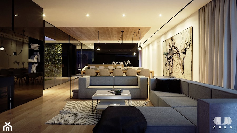 Projekt wnętrz domu - Salon, styl minimalistyczny - zdjęcie od CUDO STUDIO