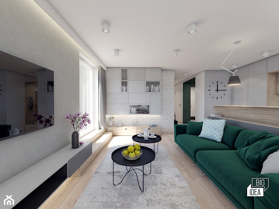 Projekt mieszkania 48,16 m2 / Kraków - Salon, styl nowoczesny - zdjęcie od BIG IDEA studio projektowe