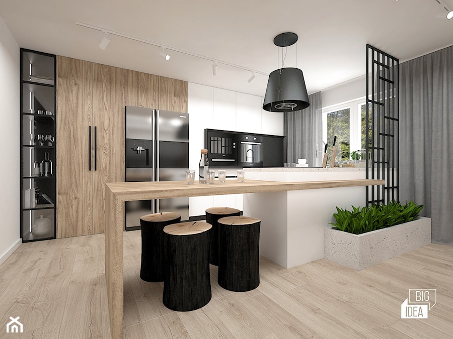 Projekt modernizacji wnętrza domu / Kuchnia - zdjęcie od BIG IDEA studio projektowe