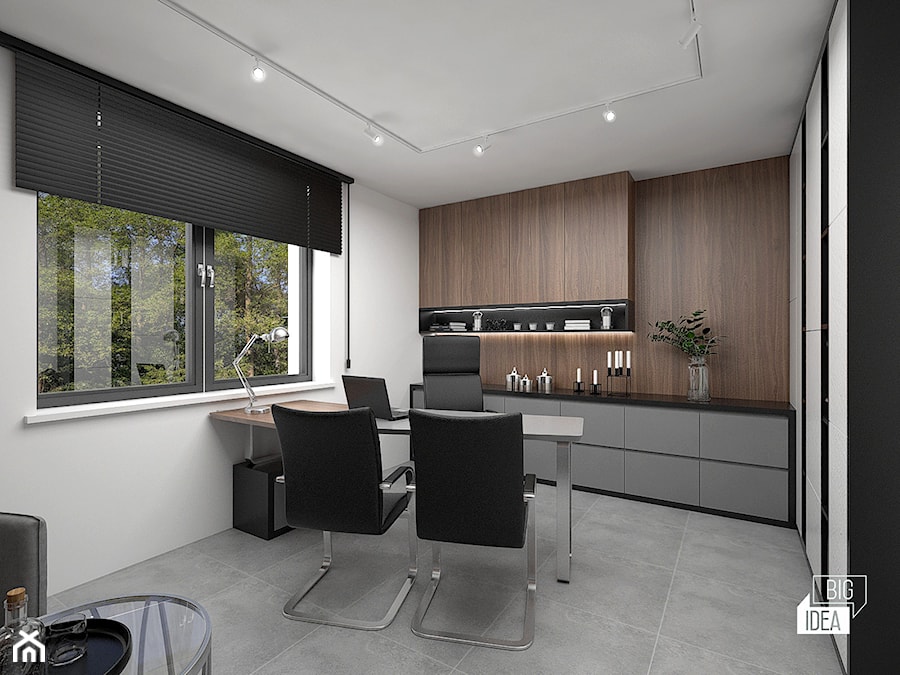 Projekt biura 15,5 m2 / Szczurowa - Wnętrza publiczne, styl minimalistyczny - zdjęcie od BIG IDEA studio projektowe