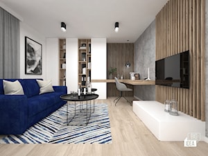 Projekt modernizacji wnętrza domu / Pokój gościnny - zdjęcie od BIG IDEA studio projektowe