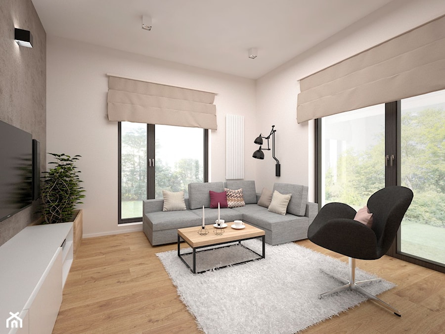 Projekt mieszkania 60 m2 / Kraków - Średni salon, styl minimalistyczny - zdjęcie od BIG IDEA studio projektowe