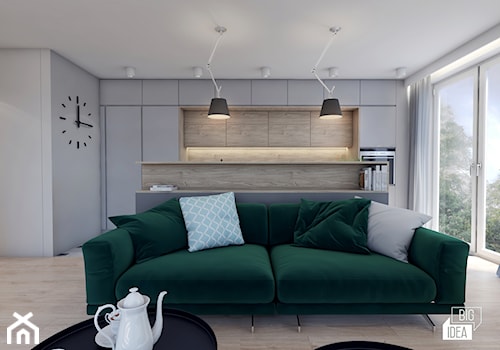 Projekt mieszkania 48,16 m2 / Kraków - Mały biały szary salon z kuchnią, styl nowoczesny - zdjęcie od BIG IDEA studio projektowe