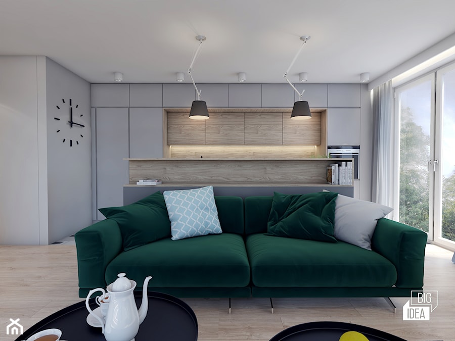 Projekt mieszkania 48,16 m2 / Kraków - Mały biały szary salon z kuchnią, styl nowoczesny - zdjęcie od BIG IDEA studio projektowe