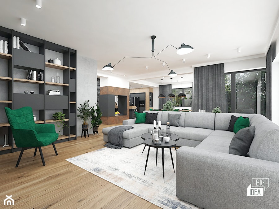 Projekt wnętrza domu 240 m2 cz.I / Bochnia - Salon, styl nowoczesny - zdjęcie od BIG IDEA studio projektowe