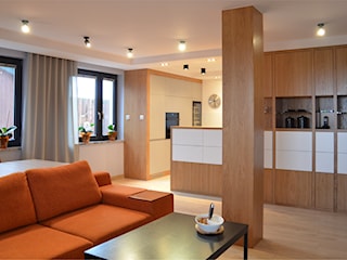 Projekt salonu z aneksem kuchennym  36 m2 / Bochnia