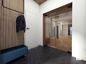 Projekt willi 300 m2 cz. III / Bochnia - Hol / przedpokój, styl nowoczesny - zdjęcie od BIG IDEA studio projektowe