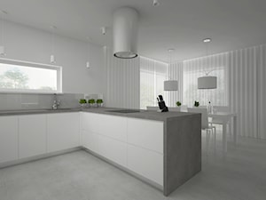 Projekt domu 120 m2 / Bochnia - Kuchnia, styl nowoczesny - zdjęcie od BIG IDEA studio projektowe