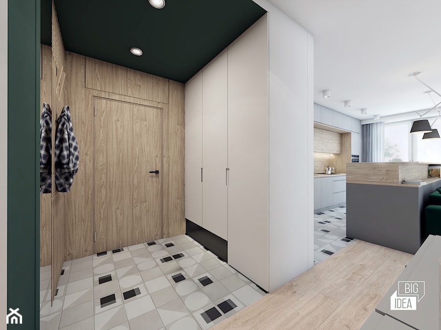 Projekt mieszkania 48,16 m2 / Kraków - Hol / przedpokój, styl nowoczesny - zdjęcie od BIG IDEA studio projektowe