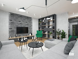 Projekt wnętrza domu 240 m2 cz.I / Bochnia - Salon, styl nowoczesny - zdjęcie od BIG IDEA studio projektowe