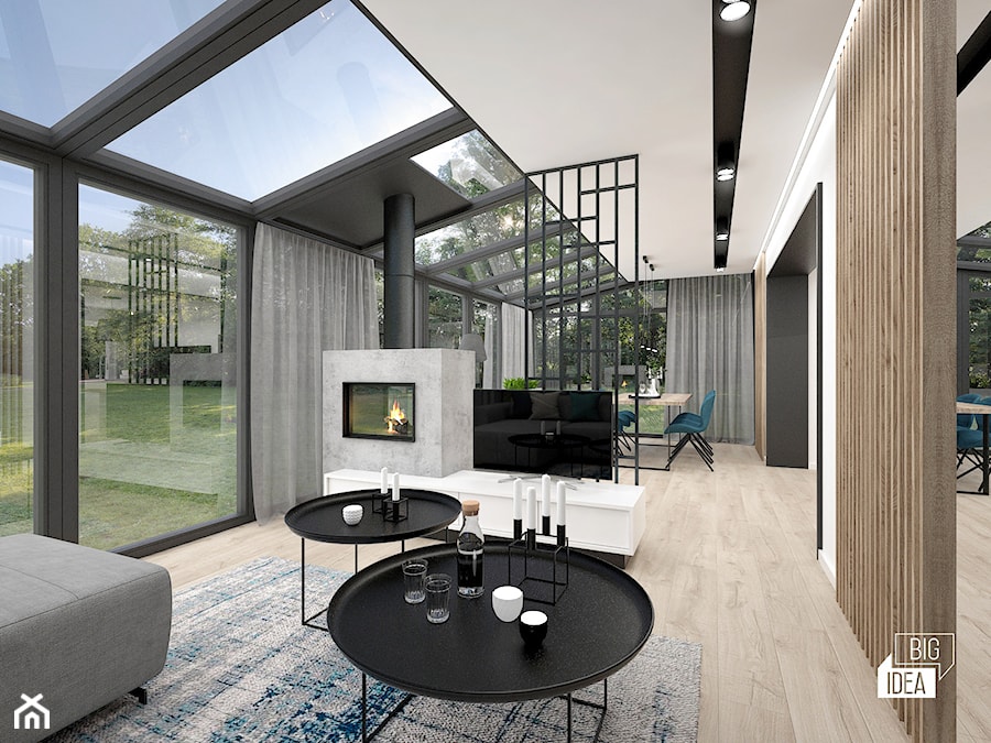 Projekt modernizacji wnętrza domu / Salon - zdjęcie od BIG IDEA studio projektowe