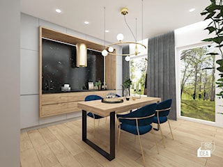 Salon z aneksem kuchennym 30 m2 / Niepołomice