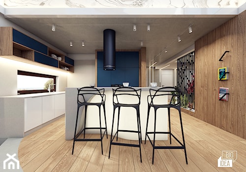 Projekt willi 300 m2 cz. III / Bochnia - Duża otwarta z kamiennym blatem biała z zabudowaną lodówką kuchnia w kształcie litery l z wyspą lub półwyspem z oknem, styl nowoczesny - zdjęcie od BIG IDEA studio projektowe