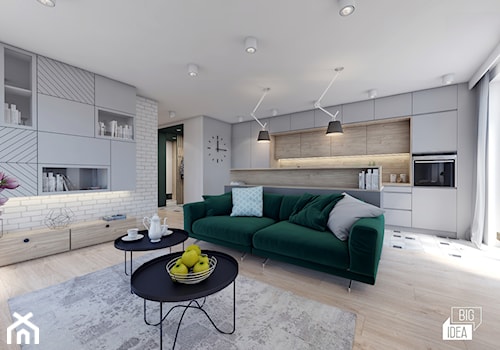 Projekt mieszkania 48,16 m2 / Kraków - Średni biały salon z kuchnią, styl nowoczesny - zdjęcie od BIG IDEA studio projektowe