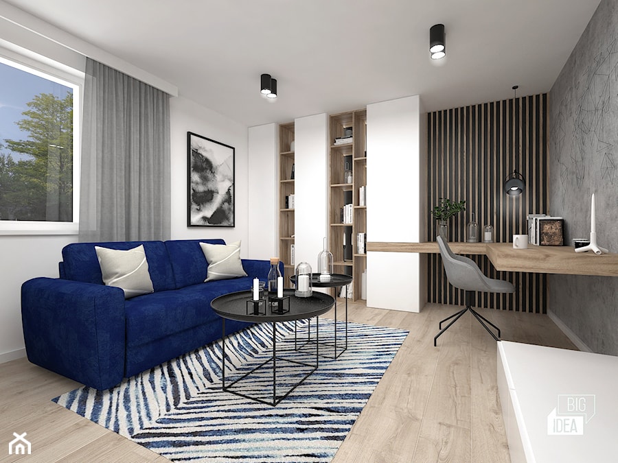 Projekt modernizacji wnętrza domu / Pokój gościnny - zdjęcie od BIG IDEA studio projektowe