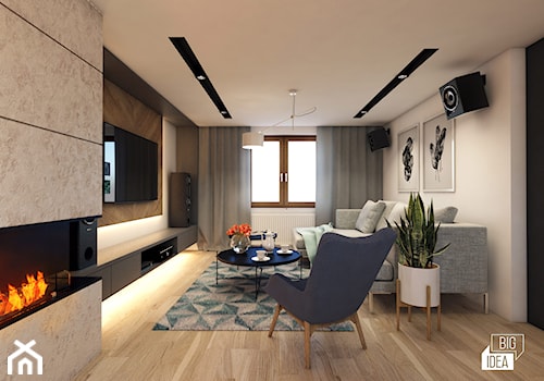 Projekt domu 43 m2 / Damienice - Średni biały salon, styl nowoczesny - zdjęcie od BIG IDEA studio projektowe