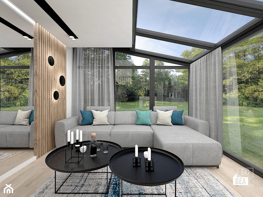Projekt modernizacji wnętrza domu / Salon - zdjęcie od BIG IDEA studio projektowe