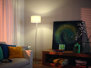 Lampy podłogowe - Salon, styl tradycyjny - zdjęcie od Philips Lighting