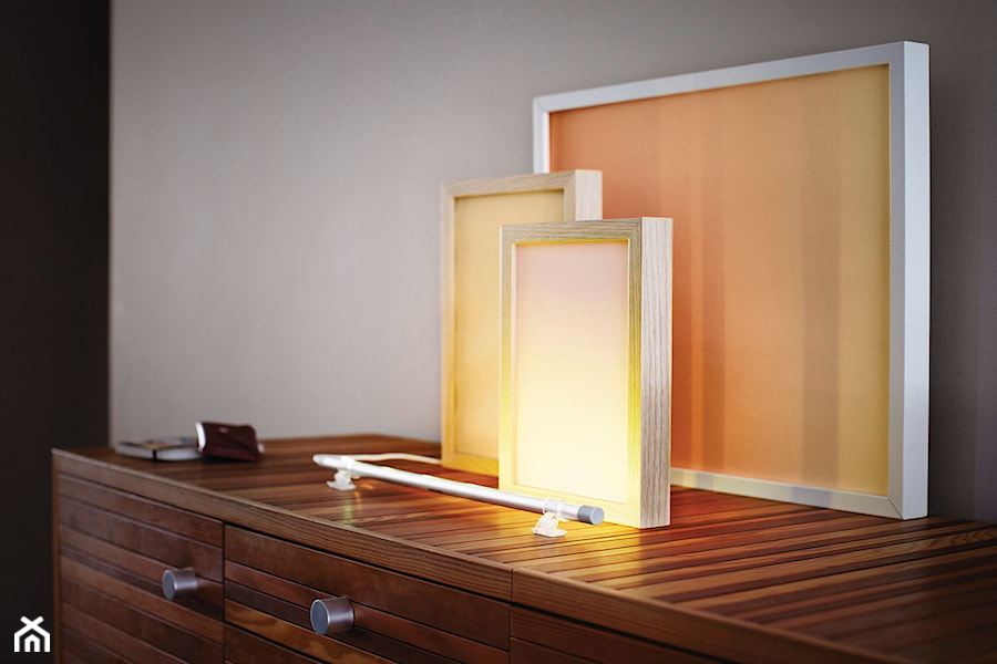 Lampy stołowe i podłogowe - Salon - zdjęcie od Philips Lighting