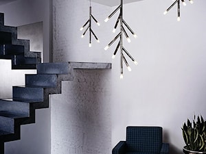 LIRIO - Hol / przedpokój - zdjęcie od Philips Lighting