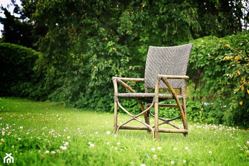Krzesło z kolekcji Greenface. - zdjęcie od SEART.PL