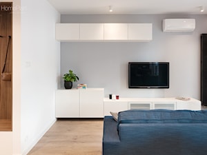 Mieszkanie do wynajęcia w Poznaniu - Salon, styl nowoczesny - zdjęcie od Home Plan Joanna Mielczarek