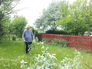 Nestor w ogrodzie - zdjęcie od Bogusława Urbańska