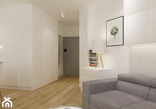 mieszkanie 50 m2 pod wynajem - Średni biały hol / przedpokój, styl nowoczesny - zdjęcie od Grafika i Projekt architektura wnętrz