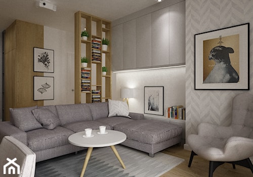 mieszkanie 70m2 w szarosciach - Średni biały szary salon z bibiloteczką, styl nowoczesny - zdjęcie od Grafika i Projekt architektura wnętrz