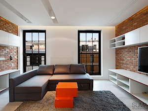 LOFT ONE - REALIZACJA - SUMA Architektów