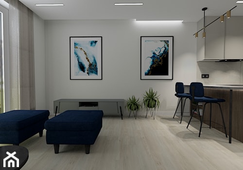 Salon z rzutnikiem - zdjęcie od MONOdizajn Architektura i Wnętrza