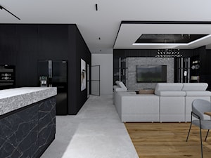 Projekt wnętrza nowoczesnego domu - Salon, styl minimalistyczny - zdjęcie od MONOdizajn Architektura i Wnętrza