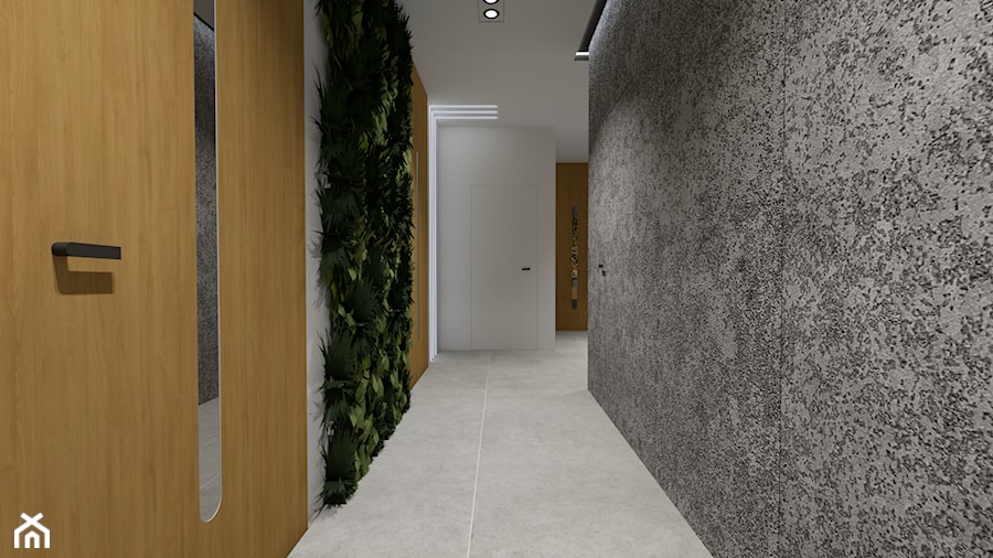 Projekt wnętrza domu HK 31 Home Koncept - Hol / przedpokój - zdjęcie od MONOdizajn Architektura i Wnętrza