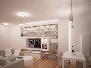 salon z "łupkiem" - Salon, styl nowoczesny - zdjęcie od noomo studio architektury