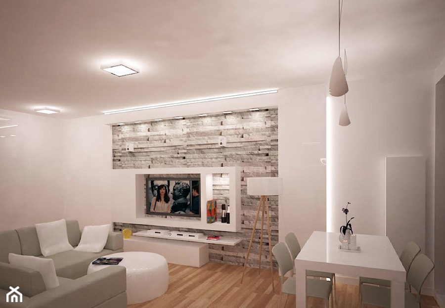 salon z "łupkiem" - Salon, styl nowoczesny - zdjęcie od noomo studio architektury