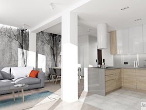 Projekt mieszkania w stylu nowoczesnym M01_2018 Świdnica - Mały biały szary salon z kuchnią z jadalnią, styl minimalistyczny - zdjęcie od Aretzky Design