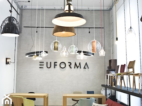 Aranżacje wnętrz - Wnętrza publiczne: Showroom 'Euforma', Warszawa - Wnętrza publiczne, styl industrialny - meinDESIGN. Przeglądaj, dodawaj i zapisuj najlepsze zdjęcia, pomysły i inspiracje designerskie. W bazie mamy już prawie milion fotografii!