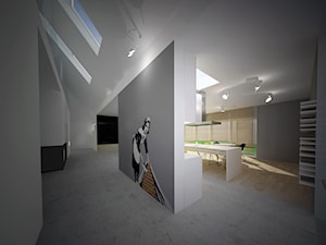 Otwarty salon z aneksem kuchennym, Łódź - Hol / przedpokój, styl minimalistyczny - zdjęcie od meinDESIGN