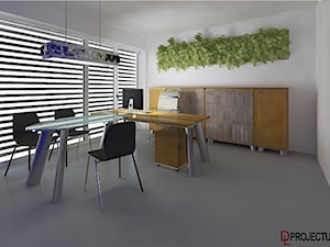 pokoj dyrektora - zdjęcie od DL Projectus