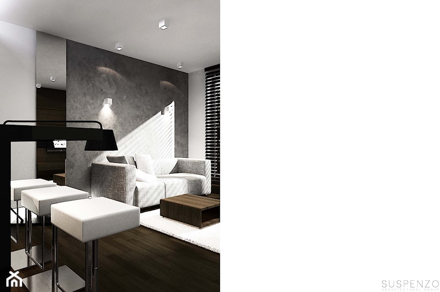 suspenzo_no.4 - Salon, styl minimalistyczny - zdjęcie od suspenzo architectural group