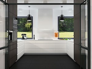 Widok na kuchnię z jadalni - zdjęcie od Cloud Concept Studio