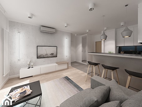 Aranżacje wnętrz - Salon: Apartament Fenix w Kołobrzegu - Salon, styl nowoczesny - Cloud Concept Studio. Przeglądaj, dodawaj i zapisuj najlepsze zdjęcia, pomysły i inspiracje designerskie. W bazie mamy już prawie milion fotografii!