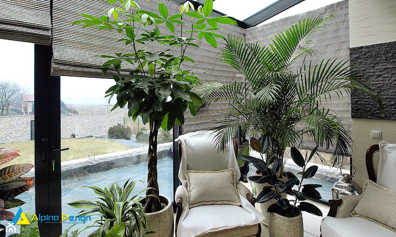 palma doniczkowa w aranżacji nowoczesnej, ogród zimowy
