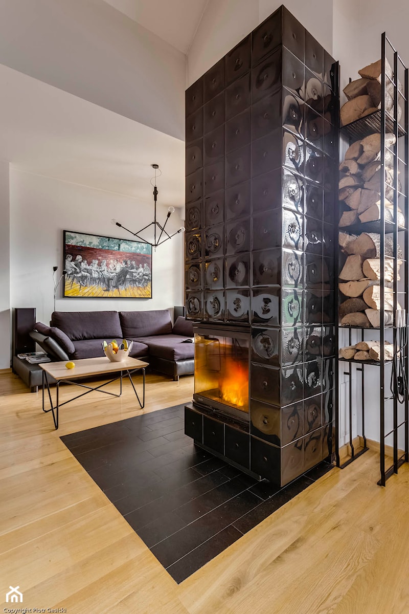 Apartament w Libertowie pod Krakowem - Poddasze - Salon, styl minimalistyczny - zdjęcie od Biuro Architektoniczne Łukasz Pióro