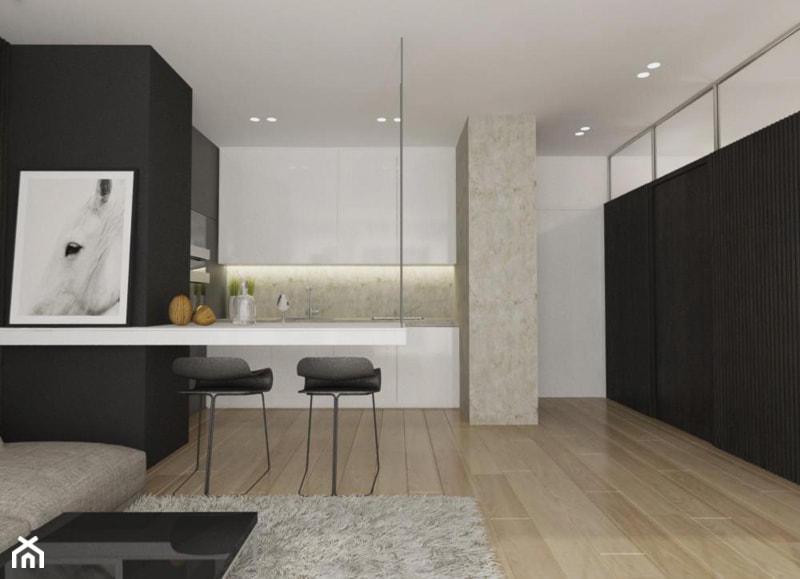 Mieszkanie w szarościach - Salon, styl minimalistyczny - zdjęcie od Ewelina Witkowska Architektura Wnętrz