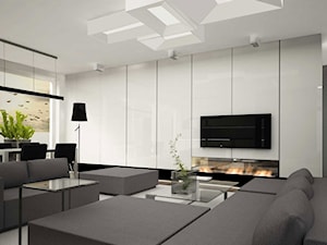 apartament w Warszawie - Salon, styl minimalistyczny - zdjęcie od kilandesign