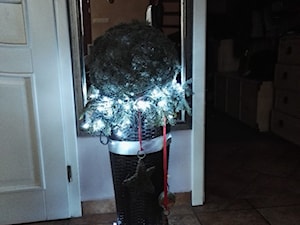 W przedsionku kula wykonana z choiny z lampkami i zwisającymi bombkami i gwiazdkami. - zdjęcie od Monika Walosczyk