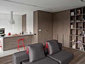 Private interior 7 - Salon, styl minimalistyczny - zdjęcie od Bidermann Design