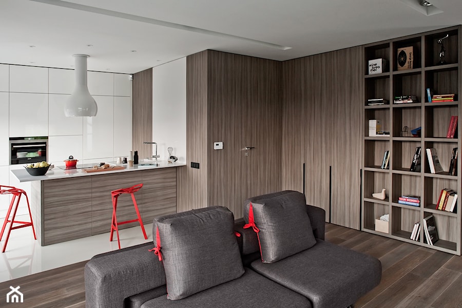 Private interior 7 - Salon, styl minimalistyczny - zdjęcie od Bidermann Design